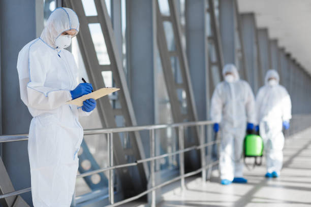 Best Residential Mold Inspection & Testing  in Hollis, OK