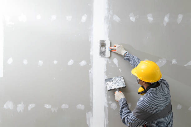 Best Post-Construction Mold Inspection  in Hollis, OK