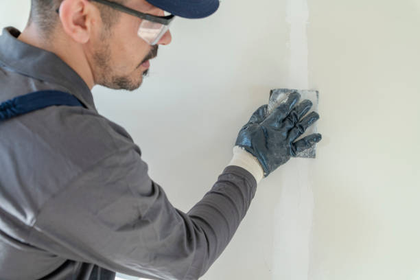Best Forensic Mold Investigation  in Hollis, OK