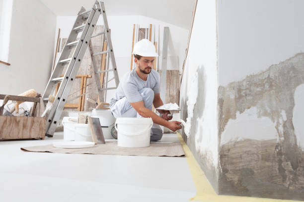 Best Asbestos and Lead Testing During Mold Inspection  in Hollis, OK