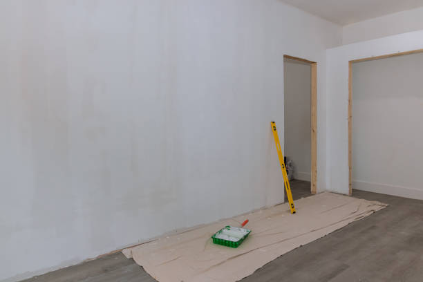 Biohazard Mold Removal in Hollis, OK
