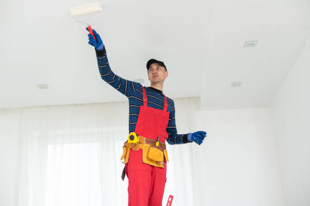 Best Mold Documentation for Insurance Claims  in Hollis, OK