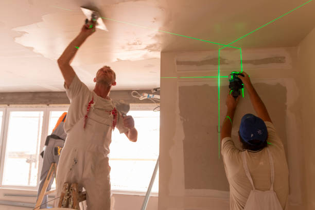 Best Commercial Mold Inspection  in Hollis, OK